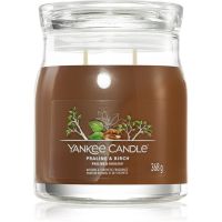 Yankee Candle Praline & Birch ароматна свещ 368 гр.