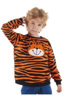 Denokids Tiger Applique Boy Sweatshirt