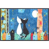 wash+dry DVEŘNÍ ROHOŽKA, 40/60 cm