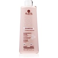 Alama Professional Color Protecting Shampoo Šampoon värvi kaitseks 500 ml