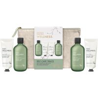 Baylis & Harding Wellness. Energise darčeková sada na telo Ginger, Lime & Basil Leaf