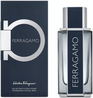 Salvatore Ferragamo Ferragamo - EDT 100 ml