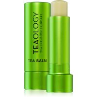 Teaology Tea Balm vlažilni balzam za ustnice v paličici odtenek Matcha Tea 4 g