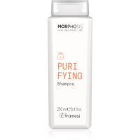 Framesi Morphosis Purifying tisztító sampon korpásodás ellen 250 ml