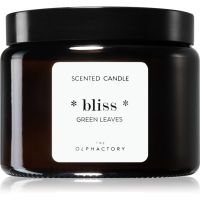 Ambientair The Olphactory Green Leaves lumânare parfumată Bliss 360 g