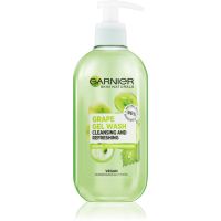 Garnier Botanical pjenasti gel za čišćenje za normalnu i mješovitu kožu lica 200 ml