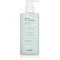 Jayjun Okra Phyto Mucin Cleansing Gel Foam jemná čisticí pěna 300 ml