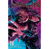 Manga Viz Media Jujutsu Kaisen 14