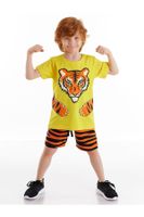 Denokids Tiger Claw Boy's T-shirt Shorts Set