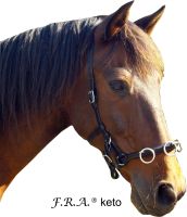 Lonžovací obnosek F.R.A. KETO