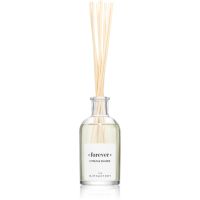 Ambientair The Olphactory Citrus & Shades aroma diffúzor Forever 100 ml