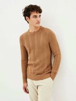 Celio Petorsade Pullover Braun