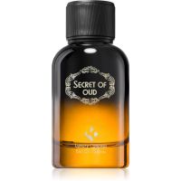 Luxury Concept Secret Of Oud Eau de Parfum Unisex 100 ml