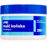 Apteo Horse ointment cooling gel s hladilnim učinkom 250 ml