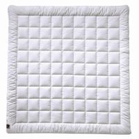 Billerbeck ZIMNÁ PRIKRÝVKA, 200/200 cm, polyester