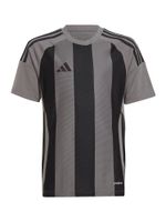 ADIDAS PERFORMANCE Tehnička sportska majica  tamo siva / crna