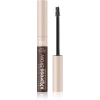 Gabriella Salvete XXPress Brow gel za učvršćivanje za obrve nijansa 03 6 ml