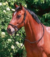 Jezdecká provazová ohlávka včetně otěží