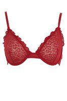 DEFACTO Fall In Love Lace Coverless Padless Underwire Bra A8423ax23wn