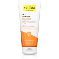 Yellow Professional Color Mask farbiaca maska odtieň .4 Copper 200 ml