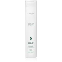 L'anza Healing Strength White Tea Shampoo Shampoo für beschädigtes und brüchiges Haar 300 ml