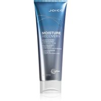 Joico Moisture Recovery vlažilni balzam za suhe lase 250 ml