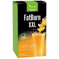 FatBurn XXL | Arzător termic de grăsimi 3-în-1: 1000 mg L-carnitină, 1000 mg yerba mate și 700 mg guarană | Program de 10 zile | SlimJOY