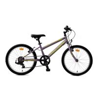 Dětské kolo Reactor Star 20" 9.0 XS (15", 130-160 cm) fialová