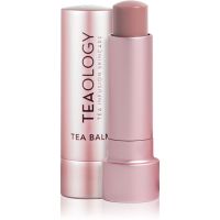 Teaology Tea Balm hydratačný balzam na pery v tyčinke odtieň Vanilla Tea 4 g