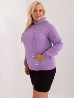 Sweatshirt-RV-BL-8655-1.13X-purple