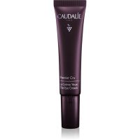Caudalie Premier Cru Augencreme zur Korrektur von dunkeln Augenringen und Falten 15 ml