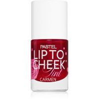 Pastel Lip To Cheek Tint flüssiges Rouge für Lippen und Wangen Farbton 01 Carmen 9,6 ml