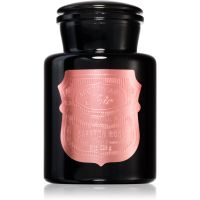 Paddywax Apothecary Noir Saffron Rose aроматична свічка 226 гр