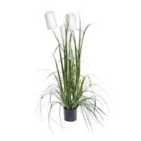 Ambia Home UMELÁ RASTLINA 120 cm