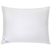 Sleeptex VANKÚŠ, 70/90 cm