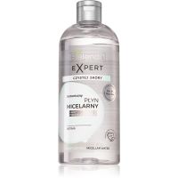 Bielenda Clean Skin Expert detoxikačná micelárna voda 400 ml