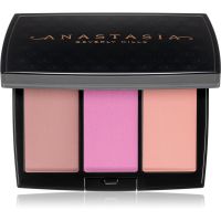 Anastasia Beverly Hills Blush Trio Rouge Palette Farbton Pool Party 9 g