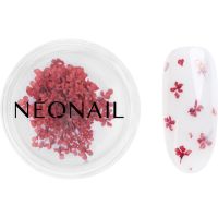 NEONAIL Dried Flowers osušeni cvijet za nokte nijansa 08 Red 1 kom