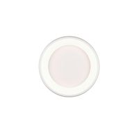 Trio Leuchten STROPNÉ LED SVIETIDLO, 46,5/10 cm