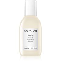 Sachajuan Clarifying tiefenreinigendes Shampoo 250 ml