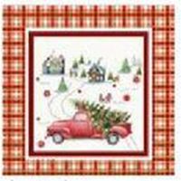X-Mas POŤAH NA VANKÚŠ 45/45 cm