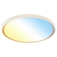 STROPNÍ LED SVÍTIDLO, 49,5/6,5 cm