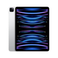 12.9-INCH IPAD PRO WI-FI (6TH) 128GB SILVER