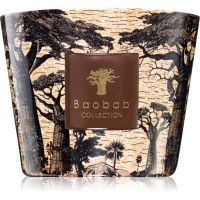 Baobab Collection Sacred Trees Mankono lõhnaküünal 500 g