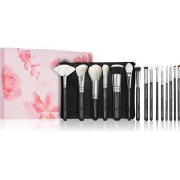 ZOEVA The Artists Brush Set Silver Ecsetkészlet táskával 15 db