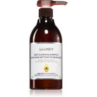 Saryna Key Deep Cleansing Shampoo šampon za mastne lase in lasišče 500 ml