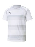 PUMA Tehnička sportska majica 'TeamVision'  siva / bež siva / svijetlosiva / crna