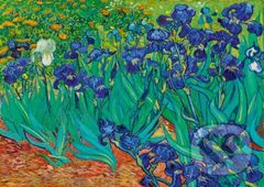 Vincent Van Gogh - Irises, 1889 - puzzle z kategorie Umělecké