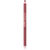 MAYBELLINE NEW YORK Lifter Liner olovka za konturiranje usana s hidratantnim učinkom nijansa 104 Hidden Gem 1.2 g