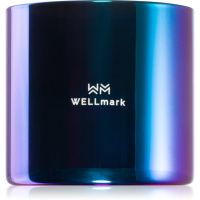 Wellmark Better Silk ароматна свещ 1 бр.